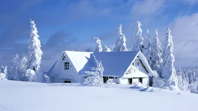 Обои пикник, зима, рождество, уют, настроение, лес, снег картинки на  рабочий стол, фото скачать бесплатно