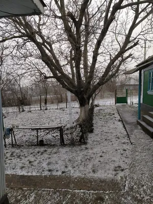 Во Владимирской области 8 марта снег перестанет идти на целый день -  Новости Владимира :: ГТРК Владимир