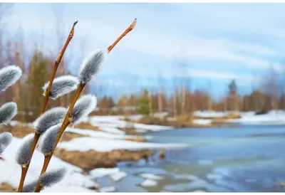 В марте Украину ждет суровая зима: синоптик рассказала о погоде весной -  Главред