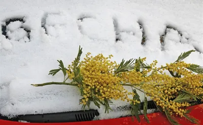 Погода в Коми на 2 марта: небольшой снег и -14°С | Комиинформ