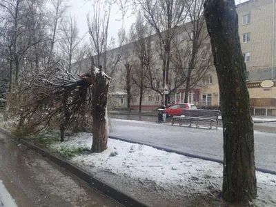 Дождь и снег идут на Сахалин: в каких районах 8 марта будет непогода -  Новости Сахалинской области - astv.ru