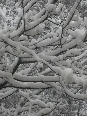 Зима вернулась в Ставрополь и раскрыла снежные объятья - Stavropol.Media