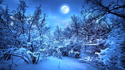 Красивая зимняя ночь голубое небо снежинка справочные материалы Обои  Изображение для бесплатной загрузки - Pngtree