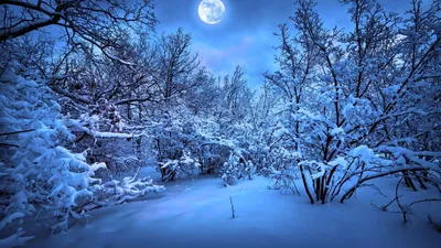 Зимняя ночь уличные фонари вид на улицу снежная фотография карта с  фотографиями Фон И картинка для бесплатной загрузки - Pngtree