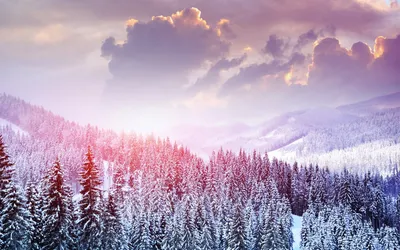 Beautiful Winter Wallpapers -4(зимние обои)