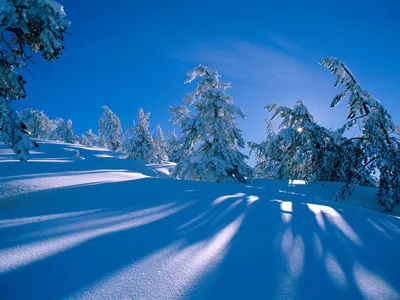 Зима обои на рабочий стол - 71 фото