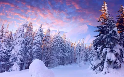 Скачать 1024x768 зима, зимний пейзаж, деревья, снег, мороз, красиво обои,  картинки стандарт 4:3