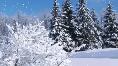 Зимние развивающие игры для детей «Снежинка на ладошке»