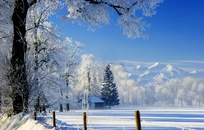 Зима Зимний Пейзаж - Бесплатное фото на Pixabay - Pixabay