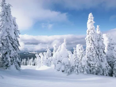 Приглашает выставка \"На празднике зимы красуется земля: зимние пейзажи\" |  Администрация Ленинского района г. Чебоксары