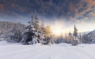 Зимний пейзаж-100 - Зимние пейзажи - ФОТО ПЕЙЗАЖЕЙ - Фотокаталог -  OGOROD.ua — сайт для дачников, садоводов и огородников