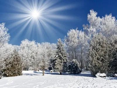 Зимние пейзажи от alex за 22 декабря 2014 на Fishki.net