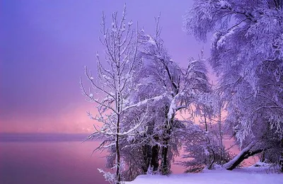 Сказочные зимние пейзажи во всем мире (8)