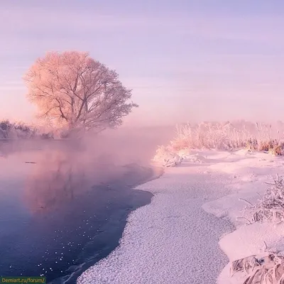 Зимний праздник - Живые обои с уютным зимним пейзажем