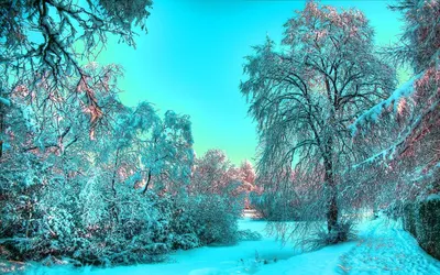 Зимние пейзажи с полярным сиянием, …» — создано в Шедевруме