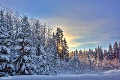 Красивые зимние пейзажи России | Пейзажи, Озера, Осенние картинки