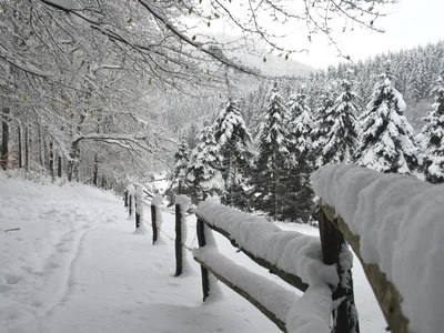 Красивые зимние пейзажи (40 фото) - 40 фото