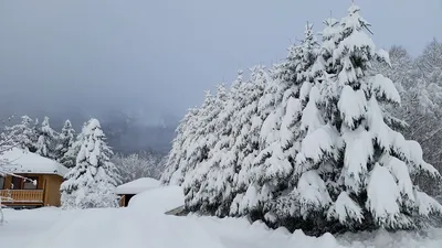 Зимние пейзажи | Пикабу