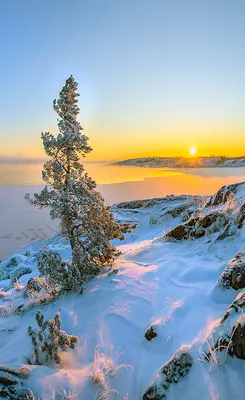 Зима Зимние Пейзажи Пейзажная - Бесплатное фото на Pixabay - Pixabay