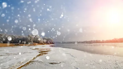 Зимний пейзаж, Зима, Снег, Ночь, Сосна, Ель, Небо, Облака, Звёзды, Луна  (2560x1600) - обои для рабочего стола