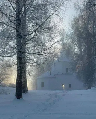 Фредерик Маринус Круземан - Зимний пейзаж с вязанками хвороста. Обои для  рабочего стола. 1920x1080