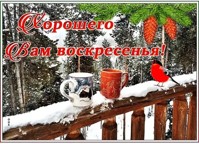 Удачного дня картинки красивые зимние с надписями (41 фото) » Красивые  картинки, поздравления и пожелания - Lubok.club