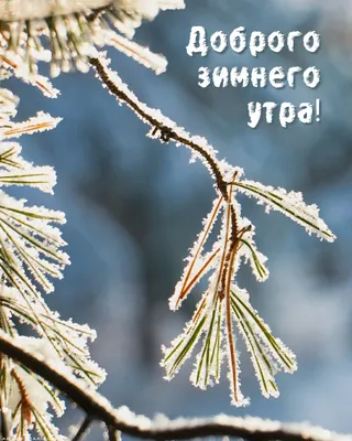 Хорошего дня и отличного настроения картинки зимние с надписями (36 фото) »  Красивые картинки, поздравления и пожелания - Lubok.club