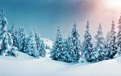 Зима Снег Зимний Лес - Бесплатное изображение на Pixabay - Pixabay