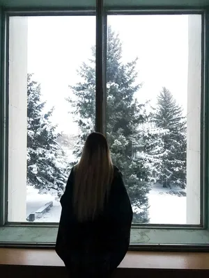 Зимний вид из окна | Вид из окна, Вид, Пейзажи
