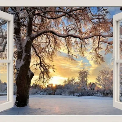 Зима за окном - фото и картинки: 61 штук