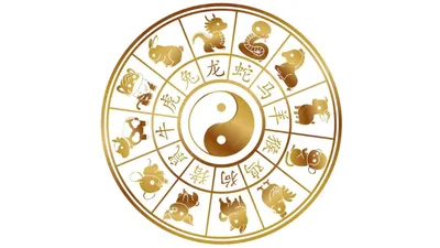 Гороскоп для знаков восточного календаря на год Черного Тигра