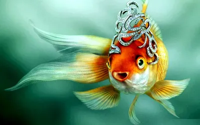 Золотая рыбка сказка