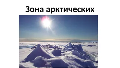 Арктический фон (89 фото)
