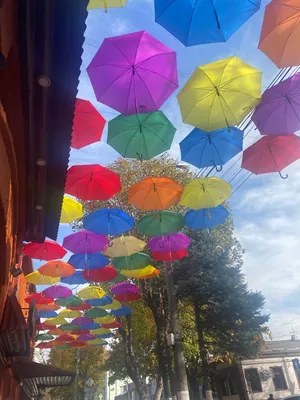 зонтики на разноцветном фоне, осенний концепт Stock Photo | Adobe Stock