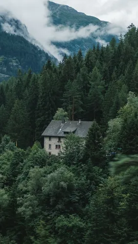 Природа Лес Обои на телефон дом, окруженный деревьями