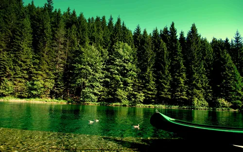Природа Лес Обои на телефон лодка на воде