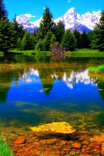 Природа Лес Обои на телефон озеро с деревьями и горами на заднем плане