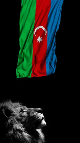 Азербайджан Обои на телефон собака перед флагом