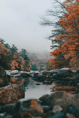 Айфон Осенние Обои на телефон река со скалами и деревьями