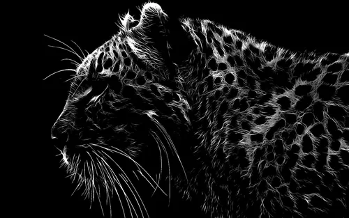 Красивые Темные Обои на телефон черно-белая фотография леопарда