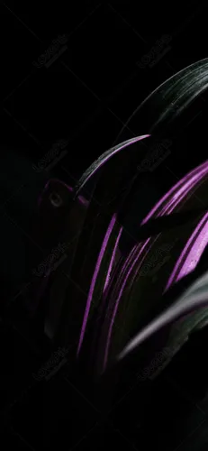 Красивые Черные Обои на телефон фиолетово-черная обувь