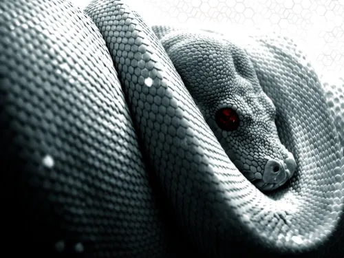 Змея Обои на телефон фотография