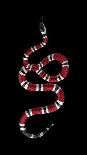 Змея Обои на телефон пара черных и красных теннисных туфель