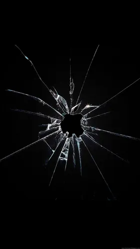 Разбитый Экран Обои на телефон черно-белая фотография паука