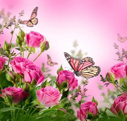 С Бабочками Обои на телефон группа бабочек на цветке