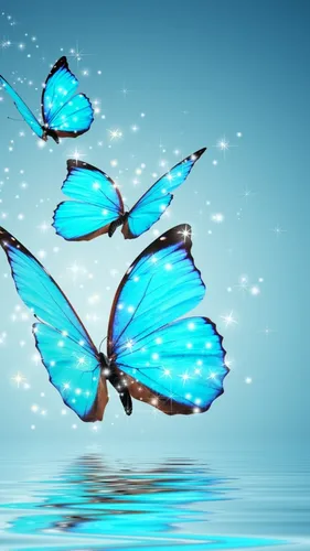 С Бабочками Обои на телефон группа бабочек, летающих в воздухе