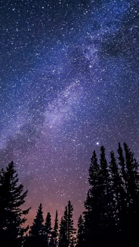 Звездное Небо Обои на телефон звездное ночное небо над деревьями