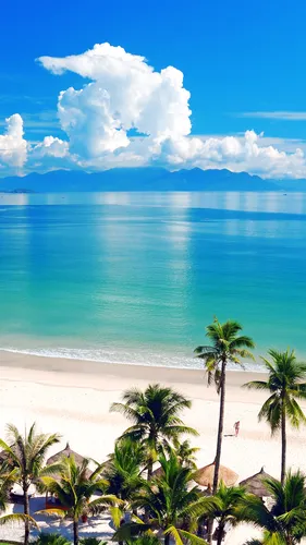 Море Пляж Обои на телефон пляж с пальмами и водоемом