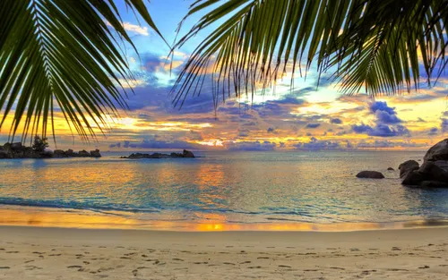 Море Пляж Обои на телефон пляж с пальмой и водой с закатом