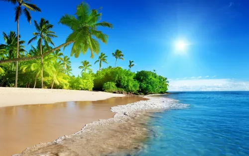 Море Пляж Обои на телефон пляж с пальмами и голубой водой
